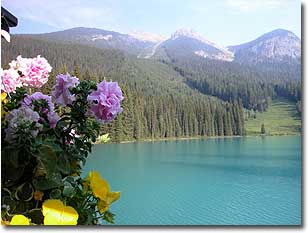  We are sorry, it appears you have the wrong link or the link you have is to a document which is no longer published.